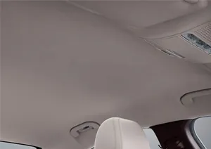 Car Headliner