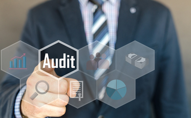 Inspection & Audit