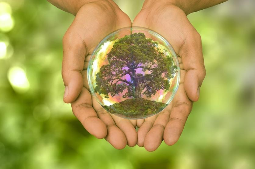 Why Can Industrial 3D Printing Improve Sustainability Why Can Industrial 3D Printing Improve Sustainability