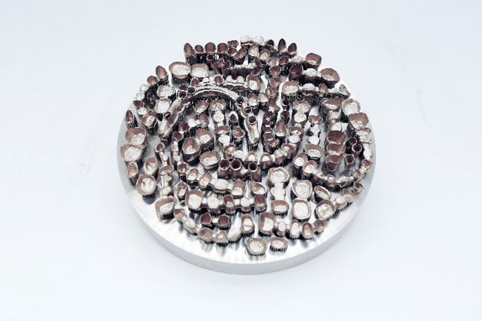 Metal 3D Printing Solution in Dentistry Metal 3D Printing Solution in Dentistry